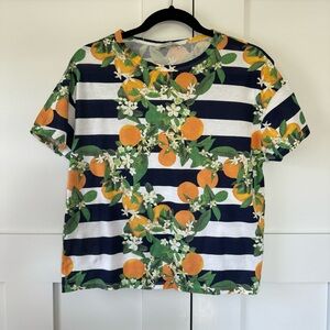 Zara Graphic Orange Citrus Navy Striped Tee (S) | NWOT